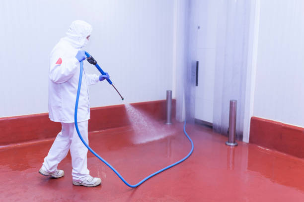 Best Graffiti Removal  in New London, TX